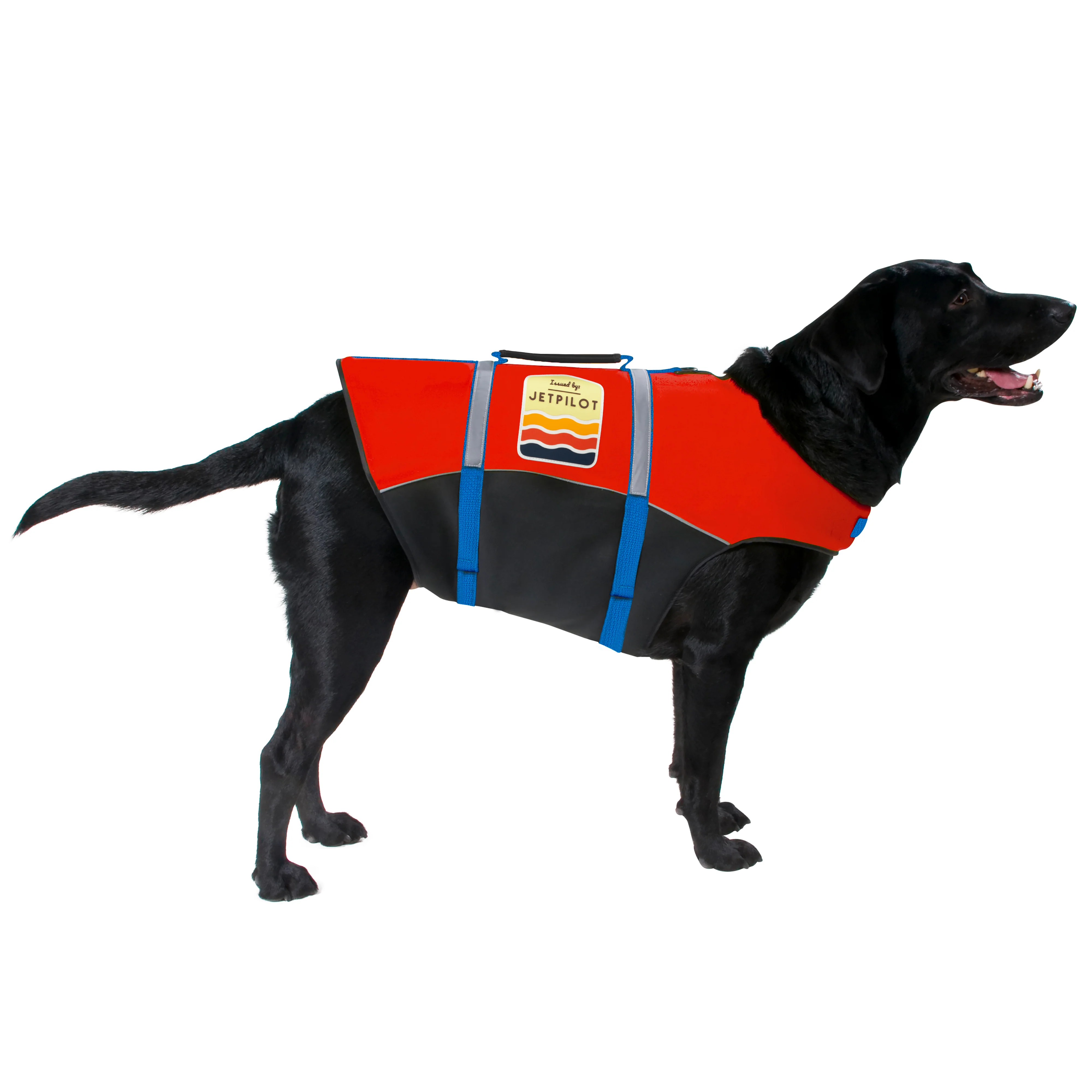 JP DOG PFD - Image 4